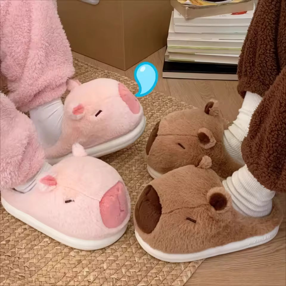 Kapybara Slippers lifestyle